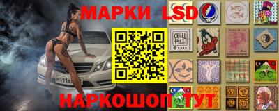 крисы Абакан