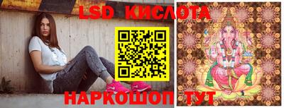 крисы Абакан