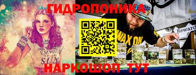 крисы Абакан