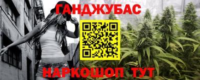 крисы Абакан
