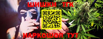 крисы Абакан