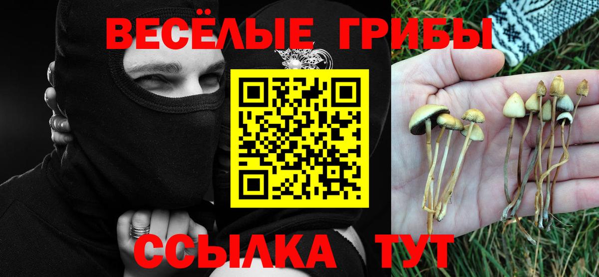 Галлюциногенные грибы Cubensis Абинск
