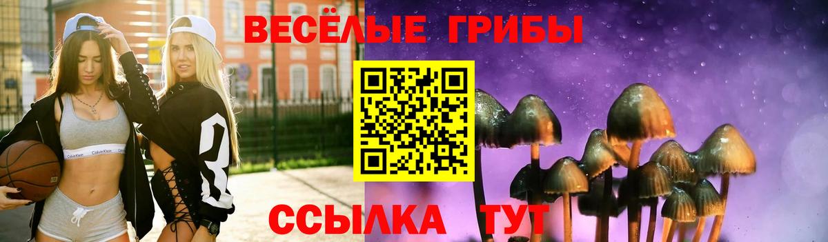Абинск  Галлюциногенные грибы GOLDEN TEACHER  Вход с VPN 